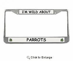 Detail Parrot License Plate Frame Nomer 7