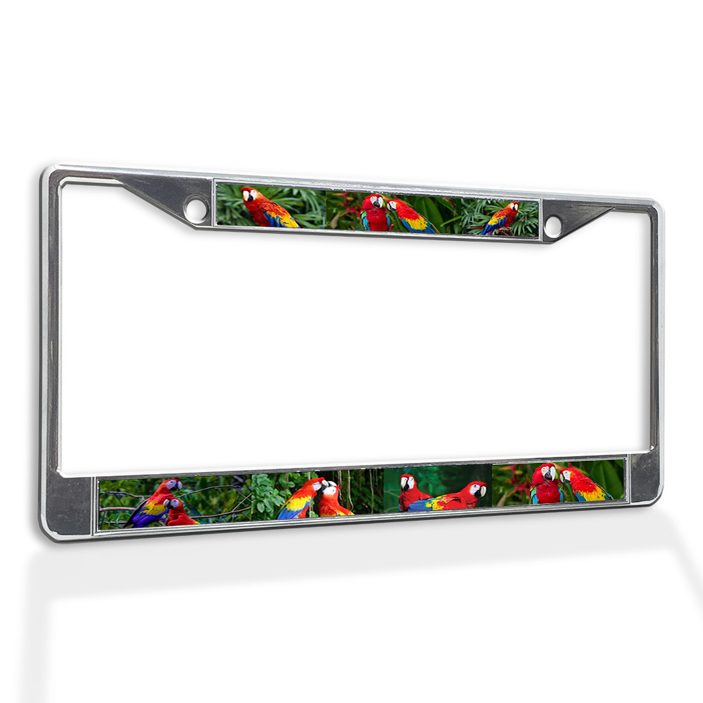 Detail Parrot License Plate Frame Nomer 8