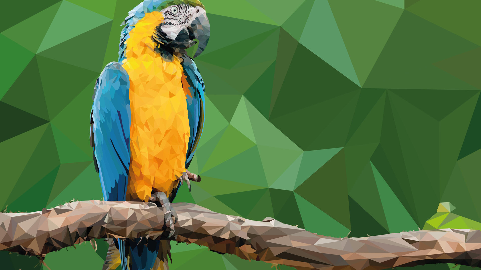 Detail Parrot Linux Wallpaper Nomer 59