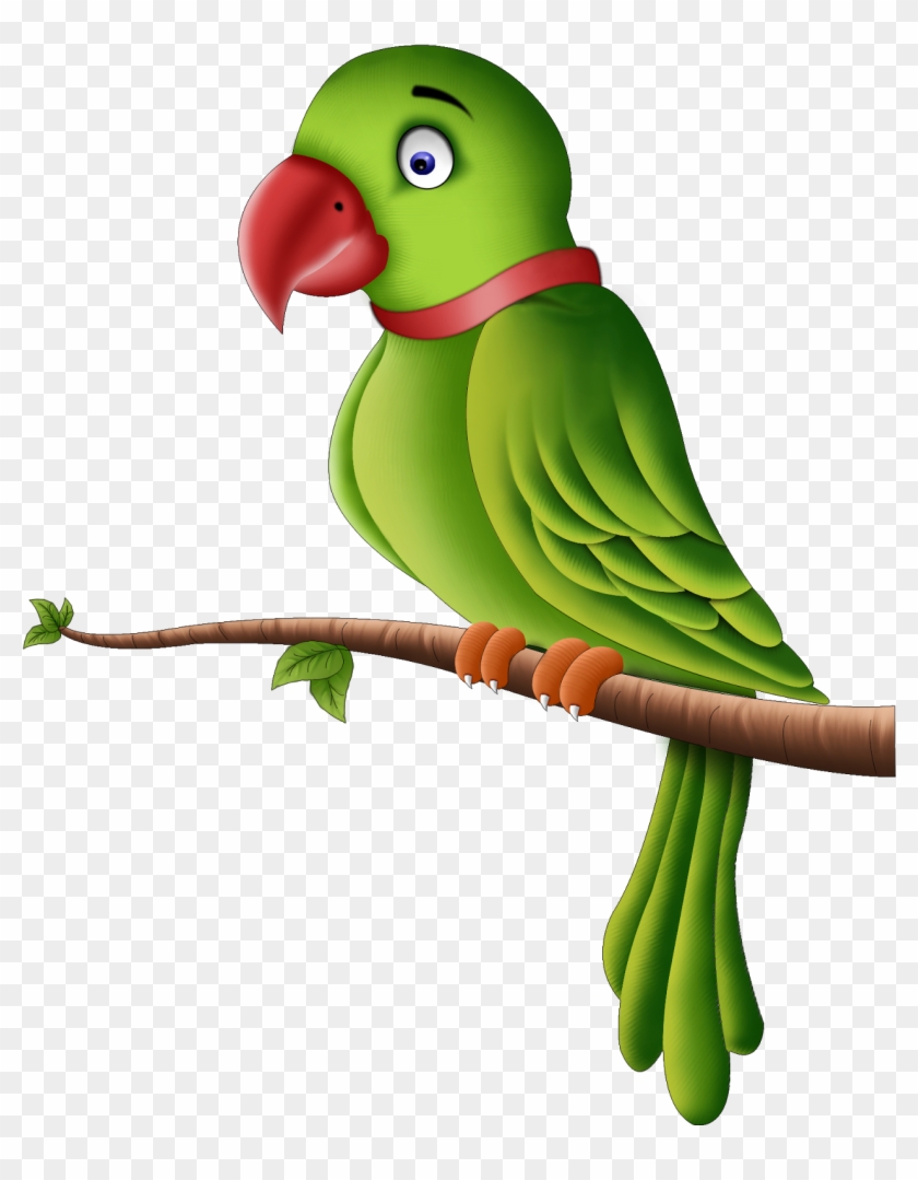 Detail Parrot No Background Nomer 50