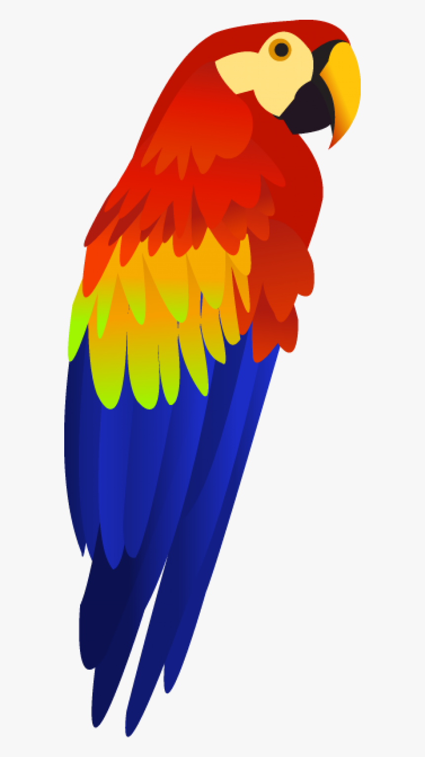 Detail Parrot Png Nomer 51