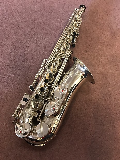 Parrot Saxophone - KibrisPDR