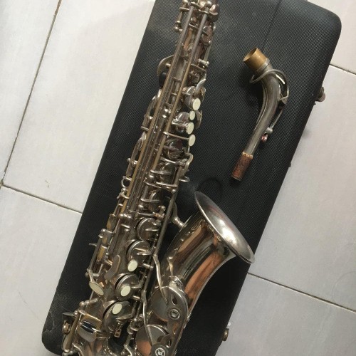 Detail Parrot Saxophone Nomer 19