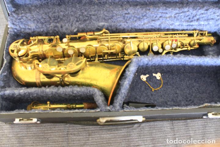 Detail Parrot Saxophone Nomer 25