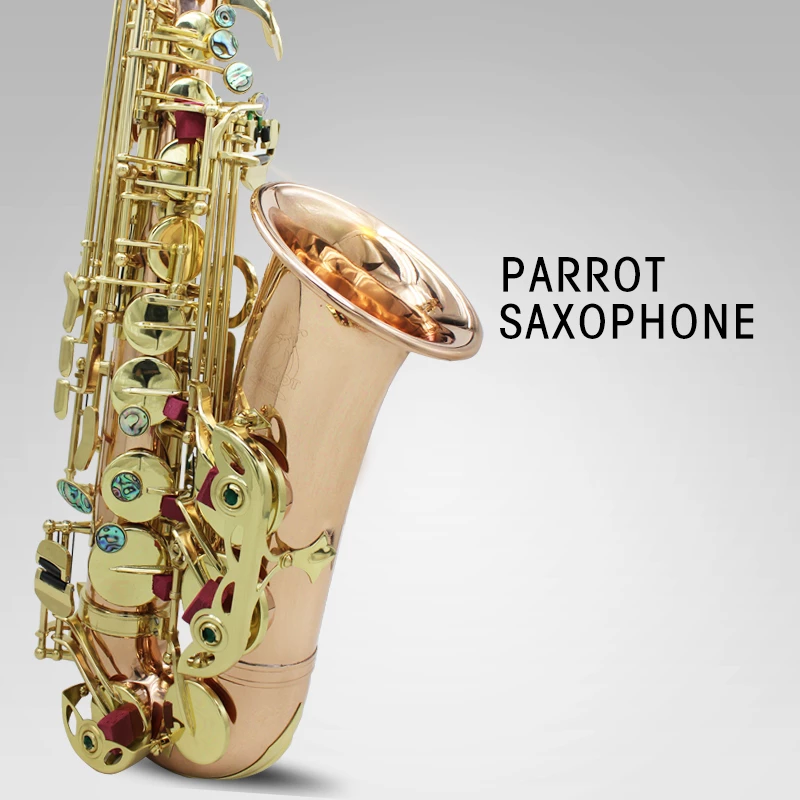 Detail Parrot Saxophone Nomer 26