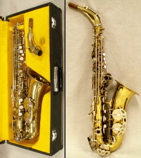 Detail Parrot Saxophone Nomer 27