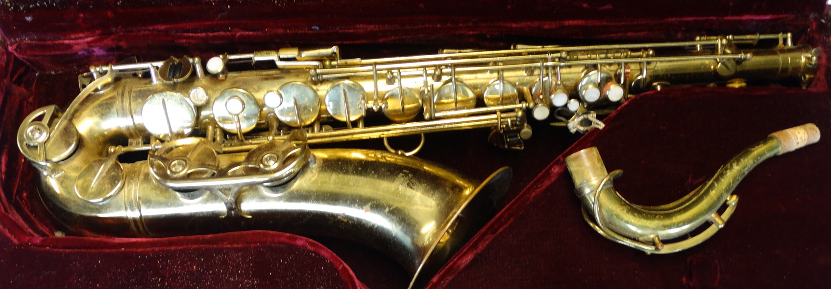 Detail Parrot Saxophone Nomer 54