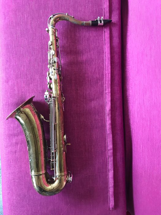 Detail Parrot Saxophone Nomer 9