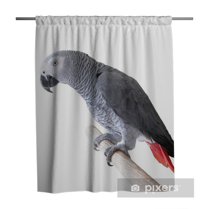 Detail Parrot Shower Curtains Nomer 21