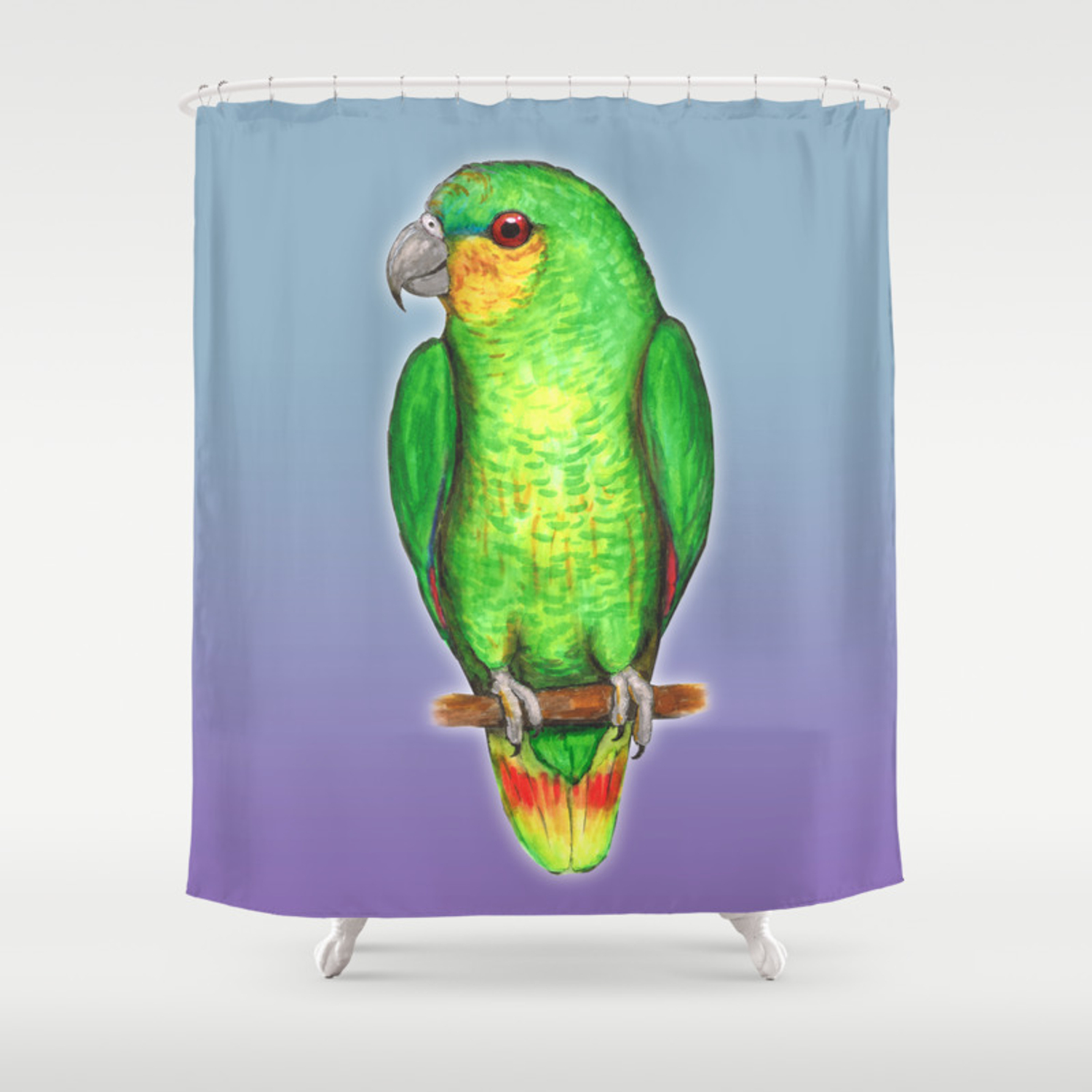 Detail Parrot Shower Curtains Nomer 31