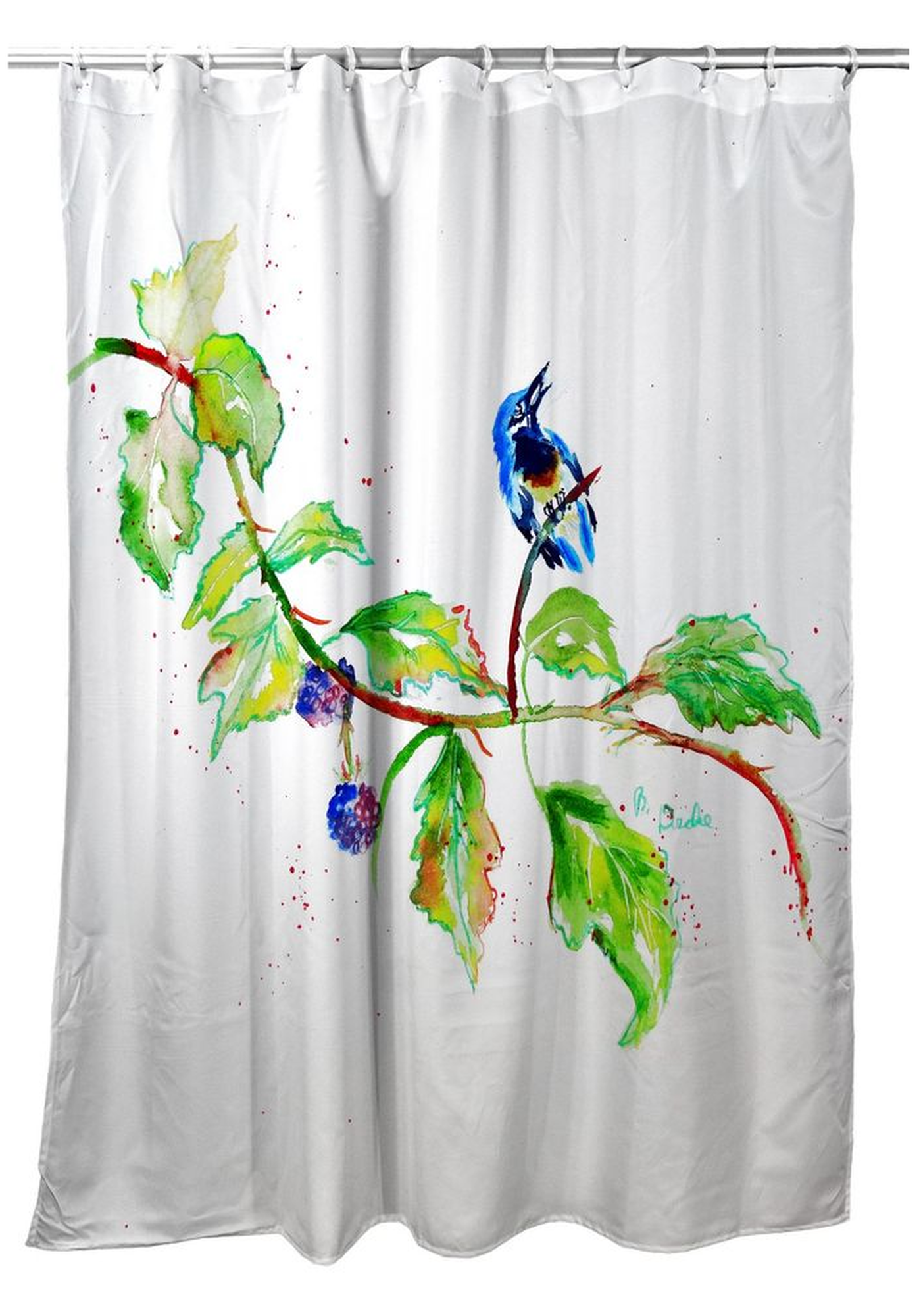 Detail Parrot Shower Curtains Nomer 36