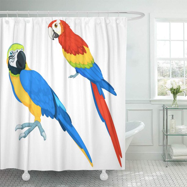 Detail Parrot Shower Curtains Nomer 50