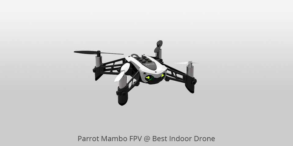 Detail Parrot Swing Drone Amazon Nomer 33