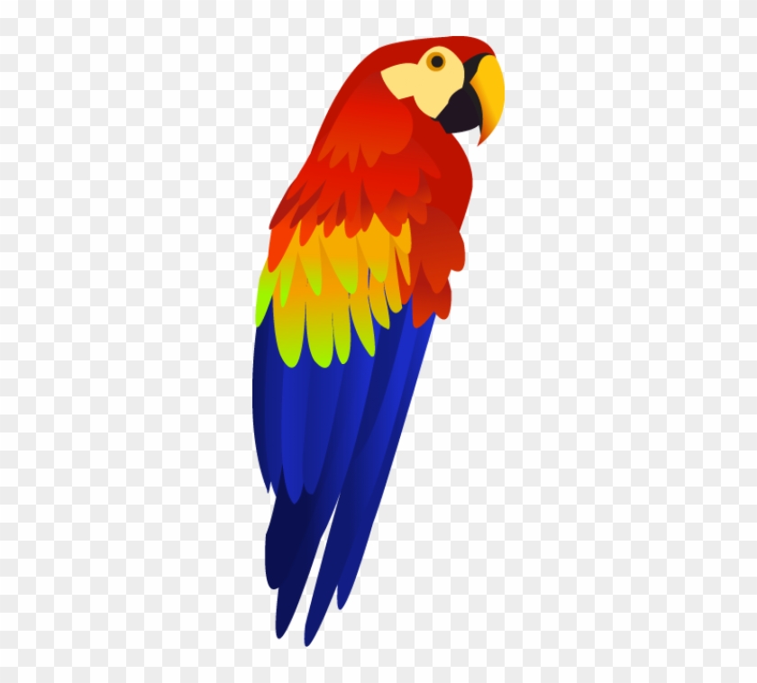 Detail Parrot Transparent Background Nomer 18