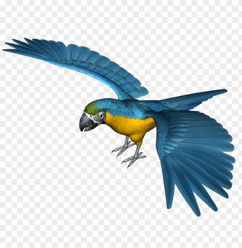 Detail Parrot Transparent Background Nomer 38