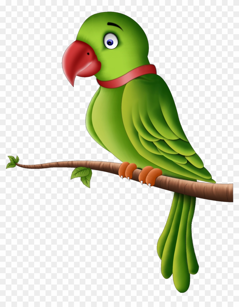 Detail Parrot Transparent Background Nomer 53