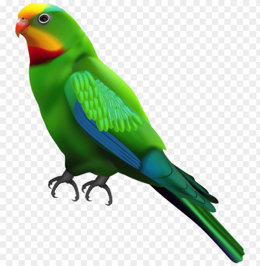 Detail Parrot Transparent Background Nomer 57