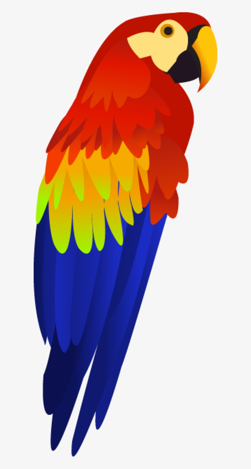 Detail Parrot Transparent Background Nomer 9
