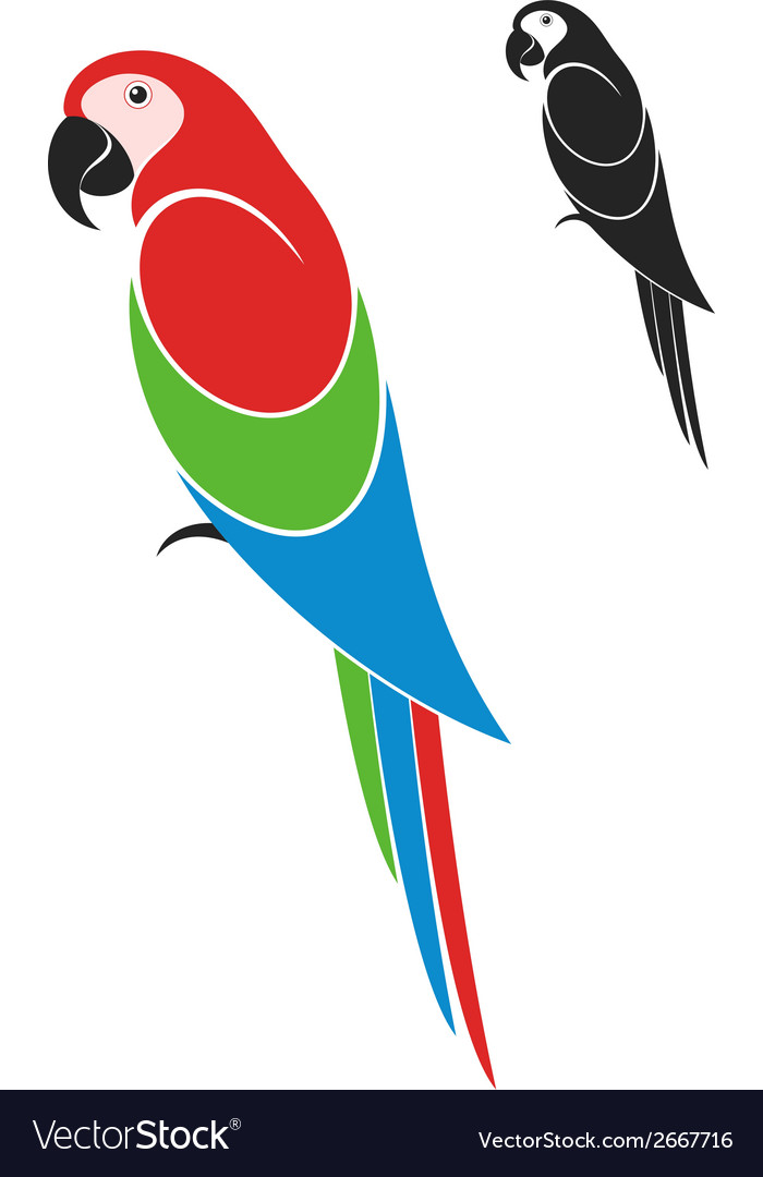 Parrot Vector - KibrisPDR