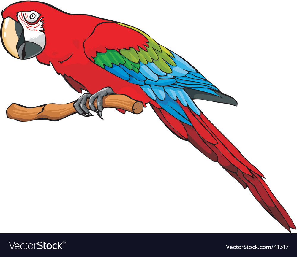 Detail Parrot Vector Nomer 2
