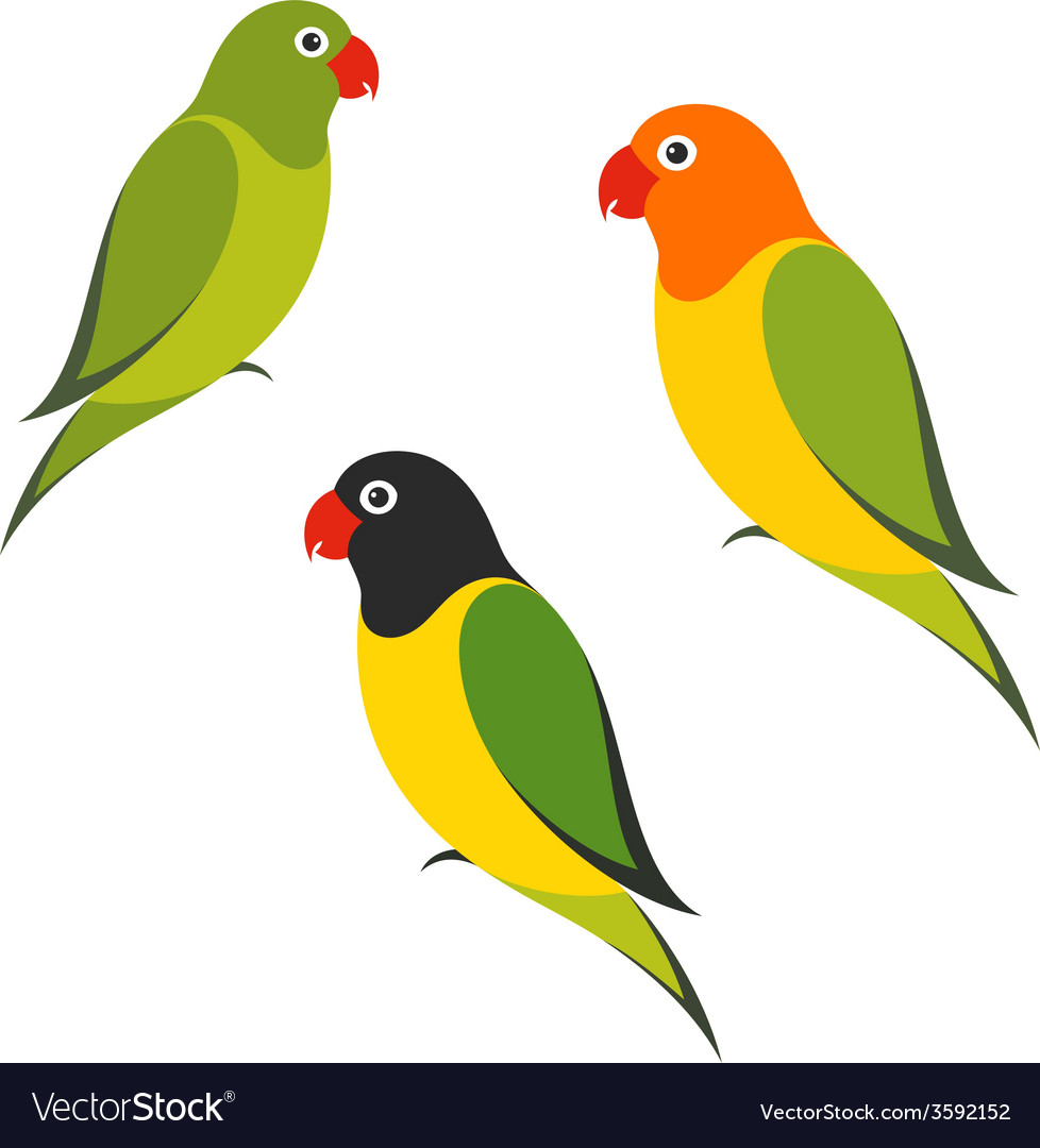 Detail Parrot Vector Nomer 12