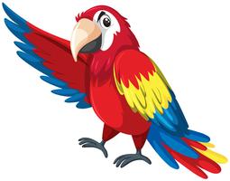 Detail Parrot Vector Nomer 17