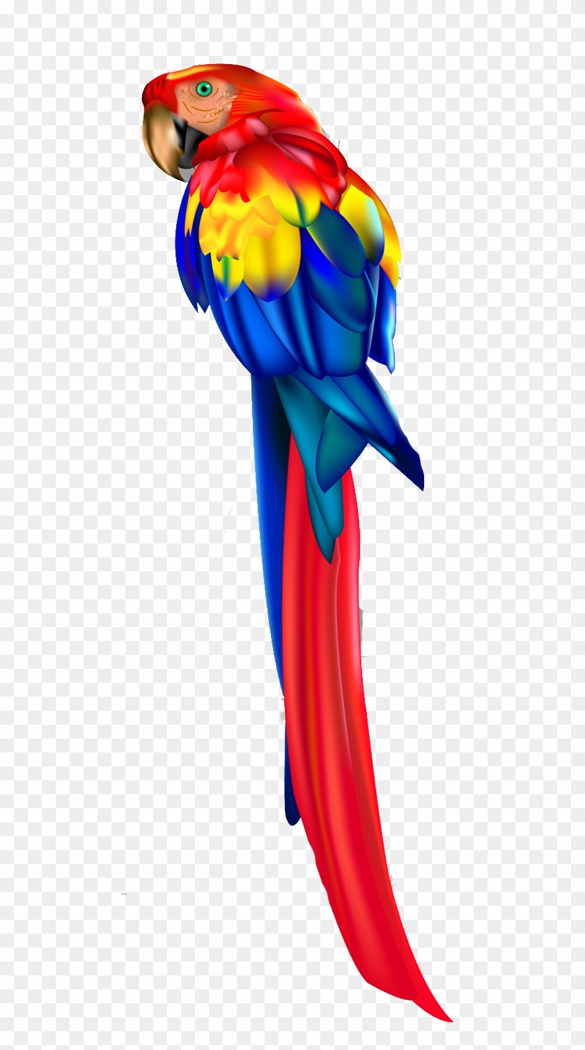 Detail Parrot Vector Nomer 21