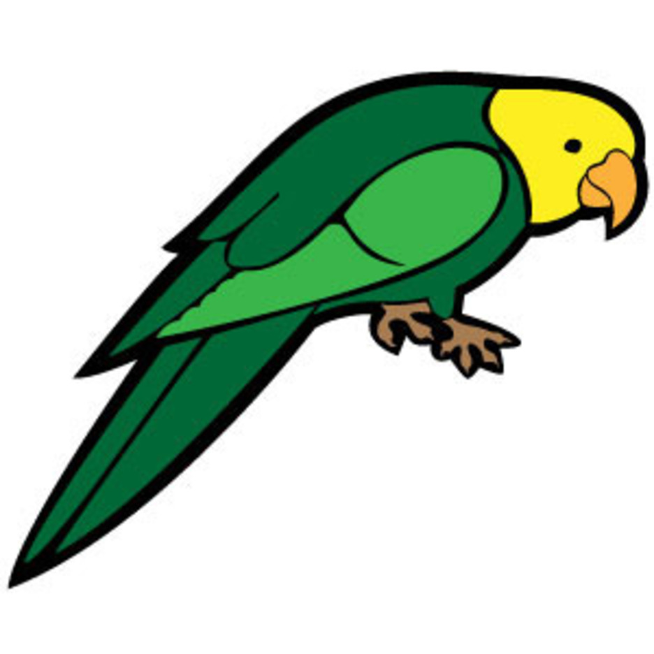 Detail Parrot Vector Nomer 22
