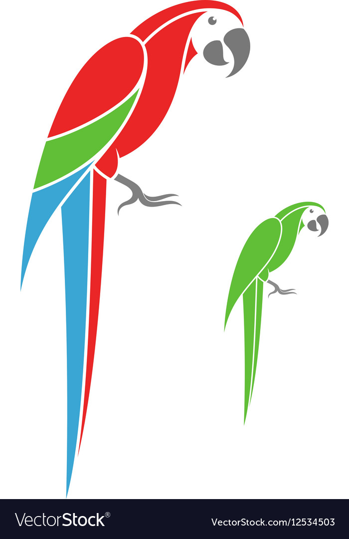Detail Parrot Vector Nomer 23