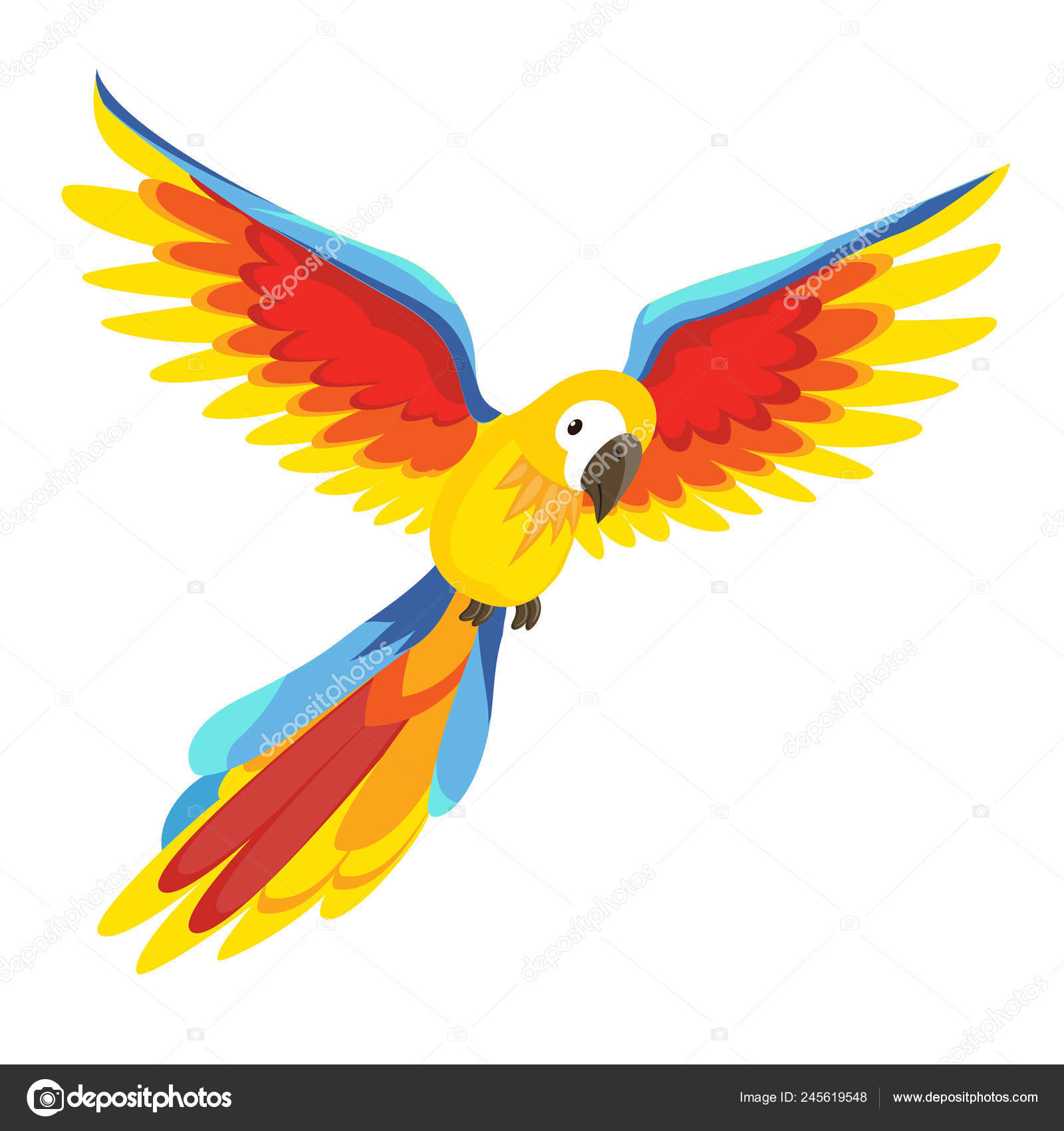 Detail Parrot Vector Nomer 27