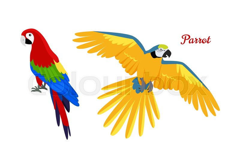 Detail Parrot Vector Nomer 30