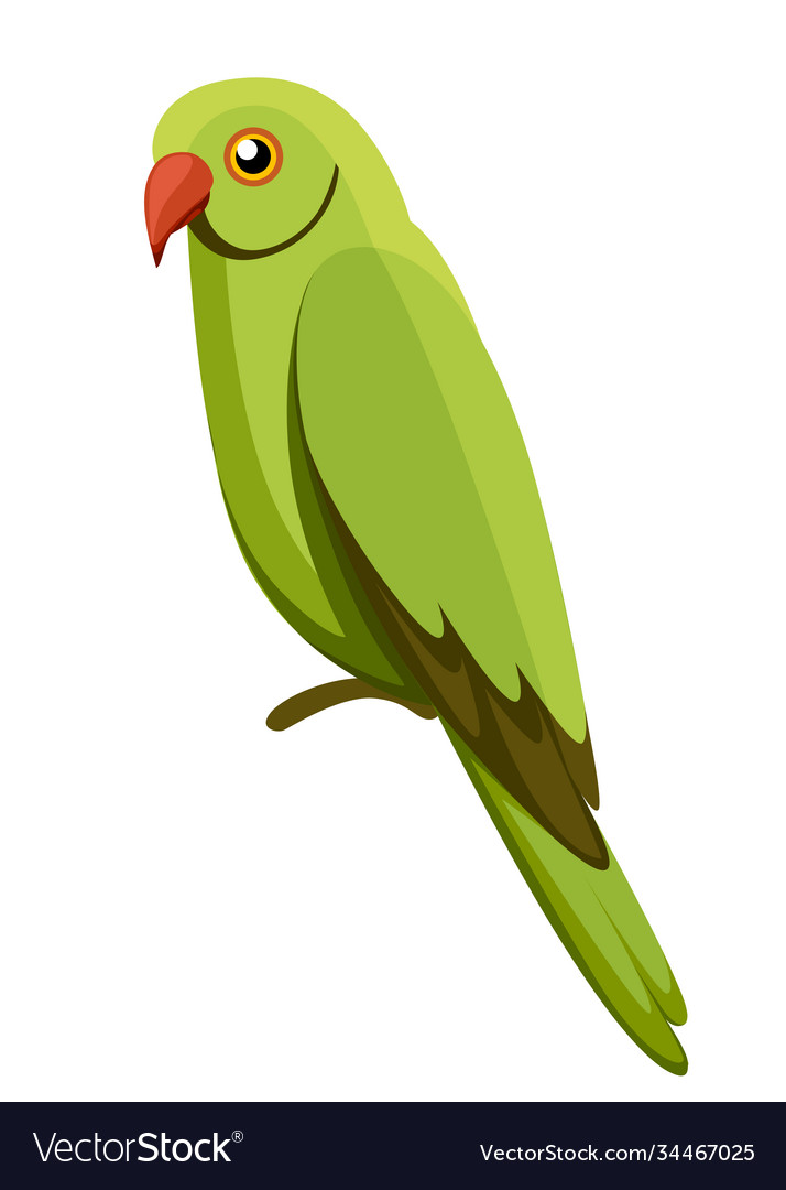 Detail Parrot Vector Nomer 31