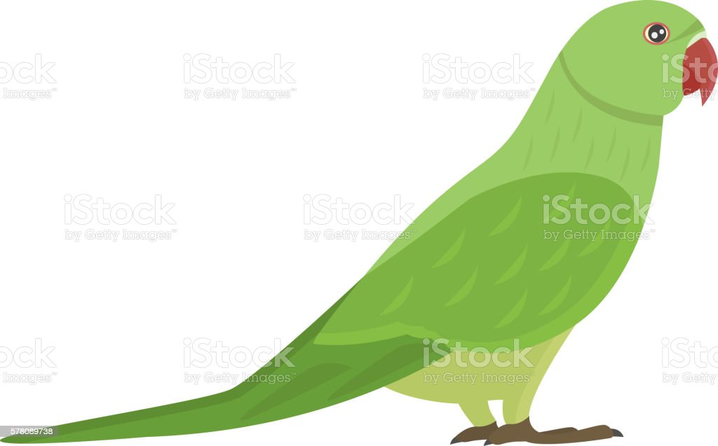 Detail Parrot Vector Nomer 34