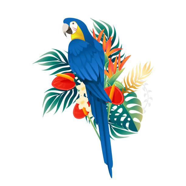 Detail Parrot Vector Nomer 35