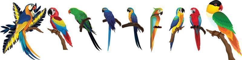 Detail Parrot Vector Nomer 36
