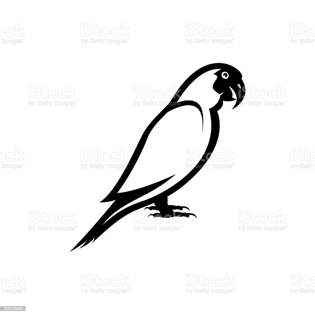 Detail Parrot Vector Nomer 39