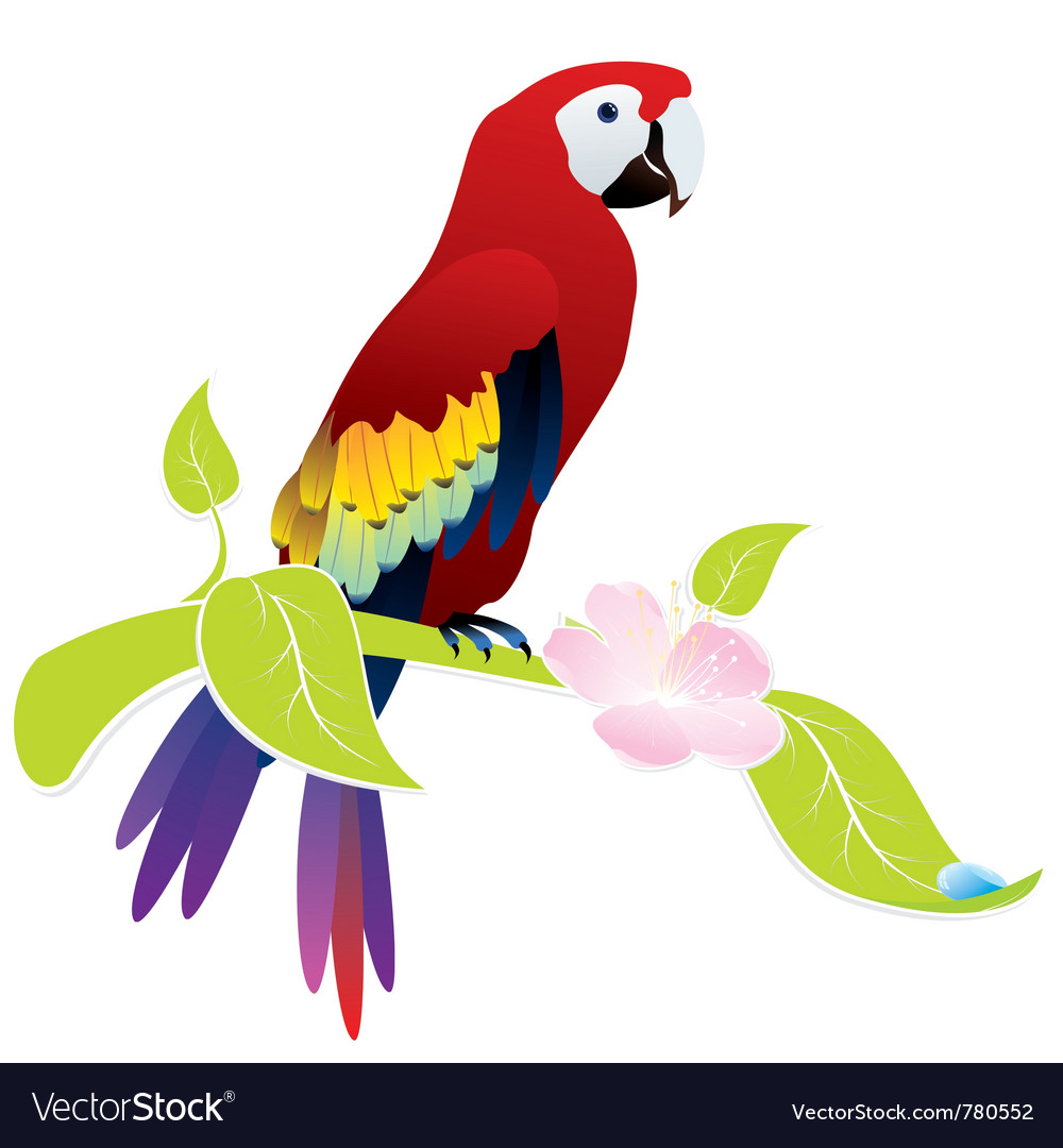 Detail Parrot Vector Nomer 42