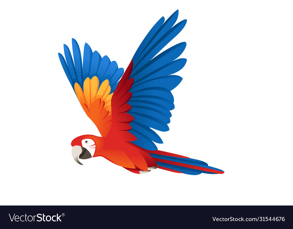 Detail Parrot Vector Nomer 43