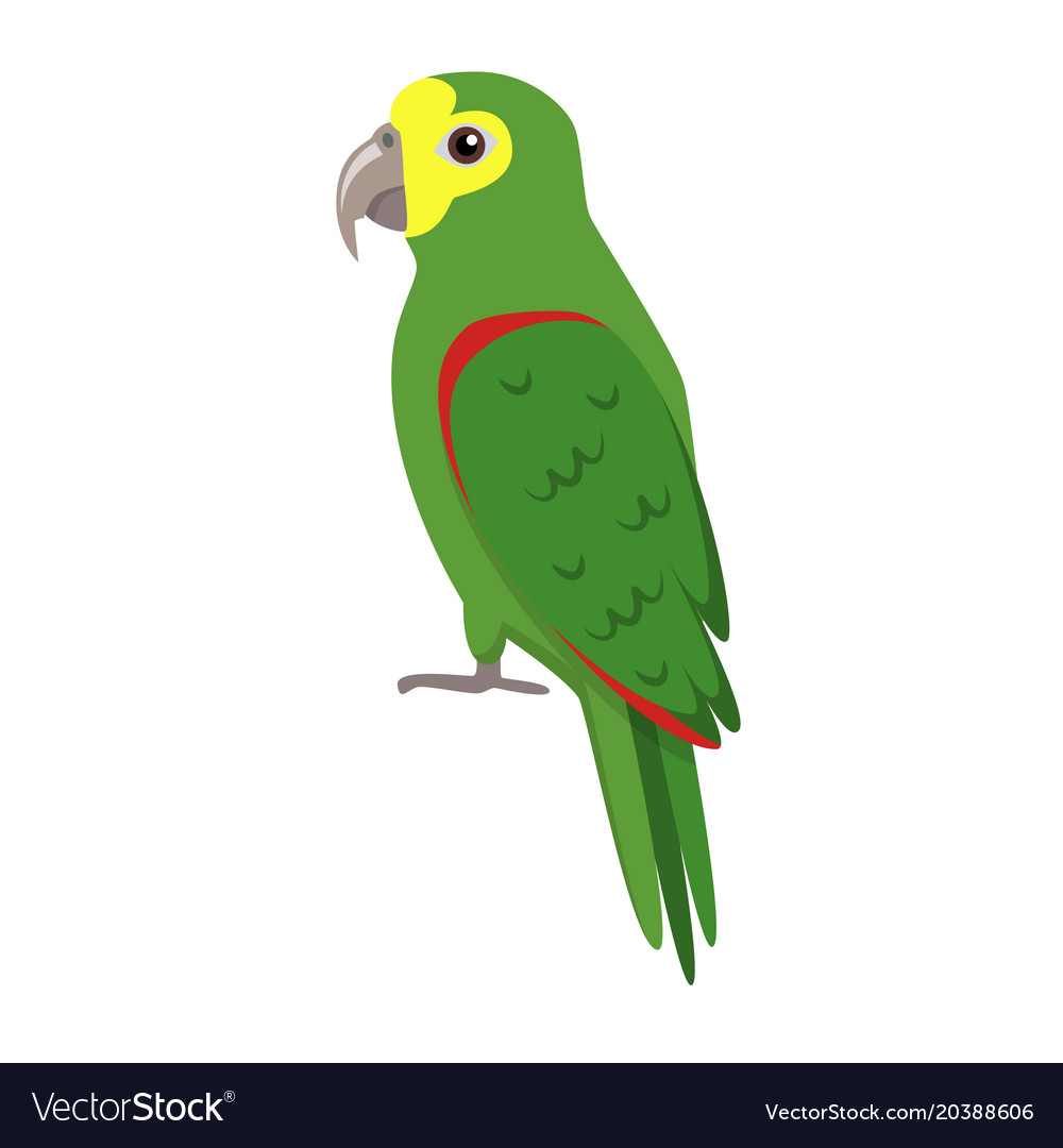 Detail Parrot Vector Nomer 45