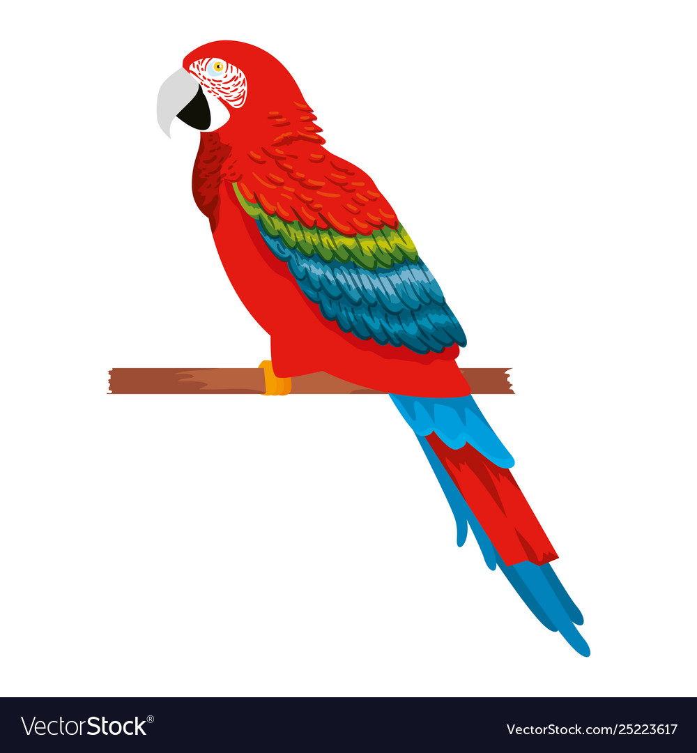 Detail Parrot Vector Nomer 6