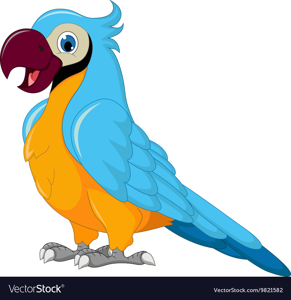 Detail Parrot Vector Nomer 50