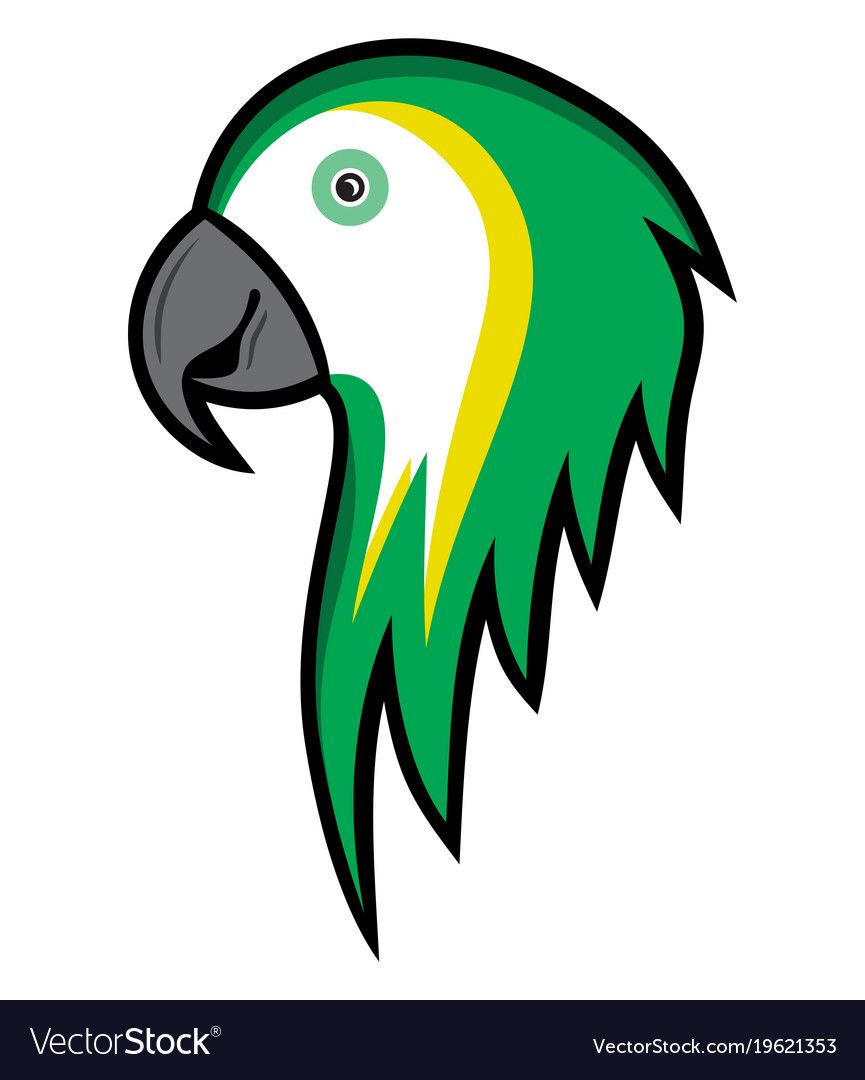Detail Parrot Vector Nomer 51