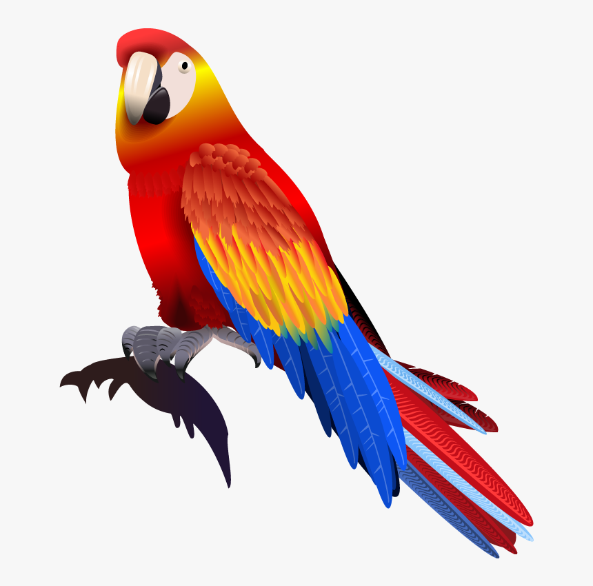 Detail Parrot Vector Nomer 53