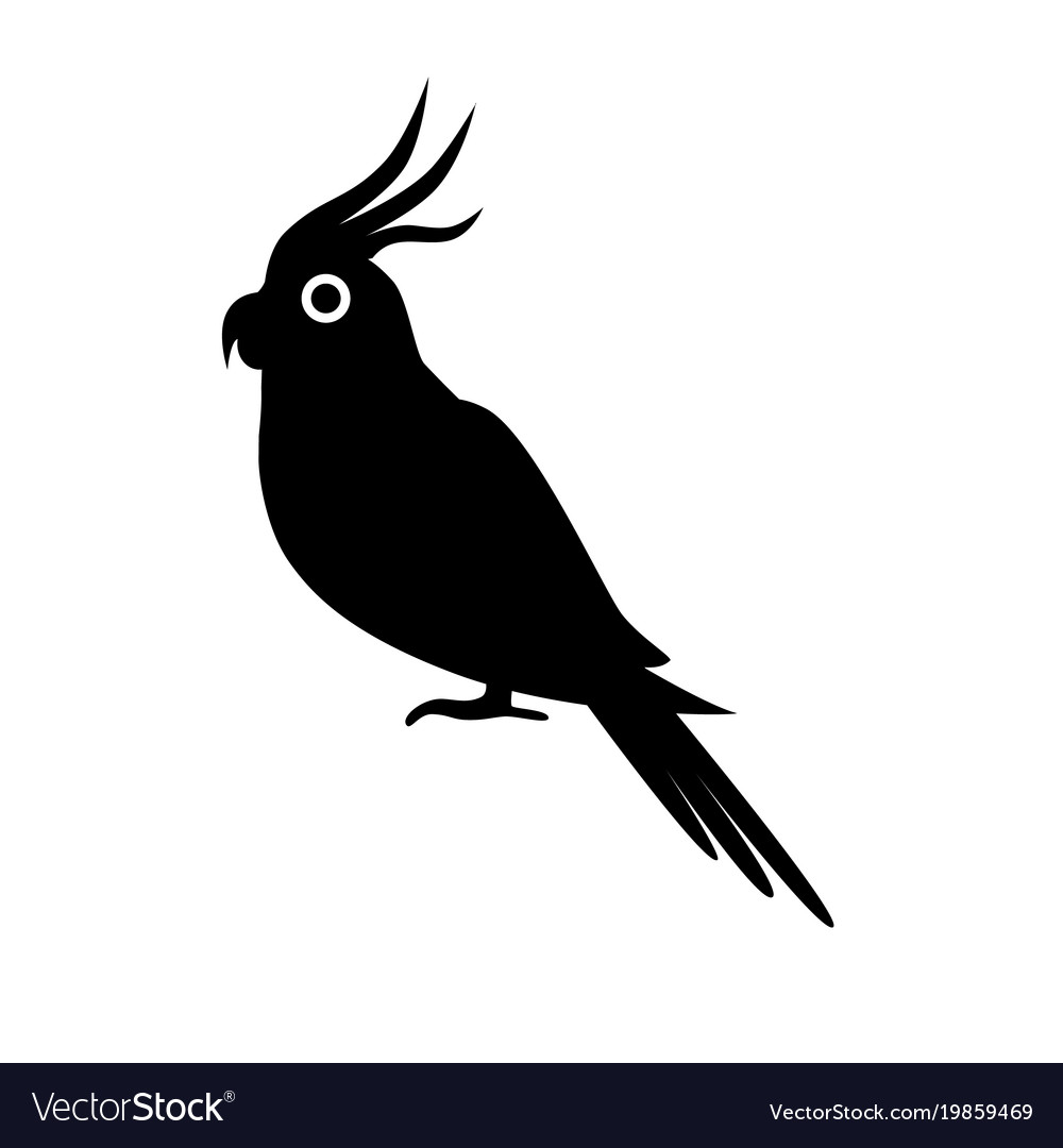 Detail Parrot Vector Nomer 54