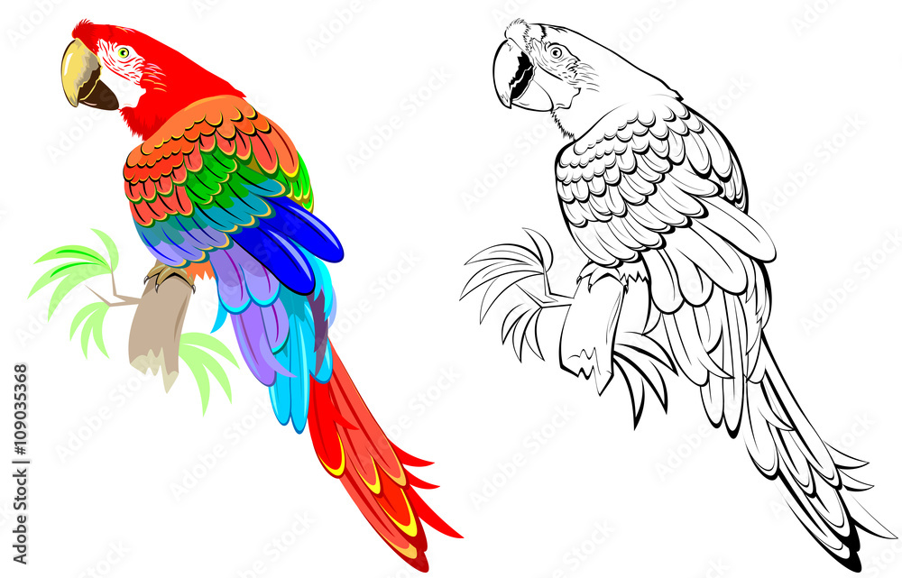 Detail Parrot Vector Nomer 58