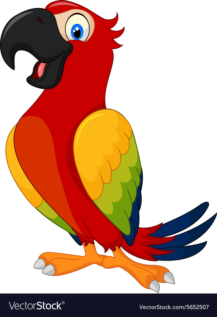 Detail Parrot Vector Nomer 7
