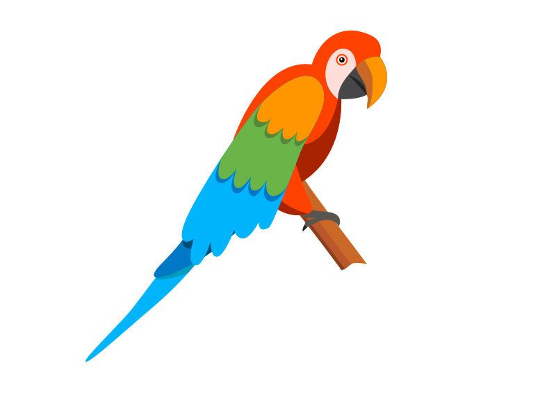 Detail Parrot Vector Nomer 10