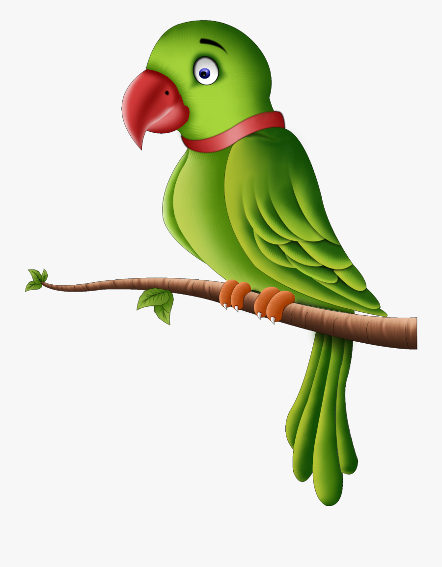 Detail Parrots Images Free Nomer 42