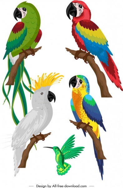 Detail Parrots Images Free Nomer 55