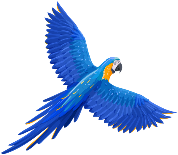 Detail Parrots Png Nomer 36